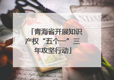 青海省开展知识产权“五个一”三年攻坚行动